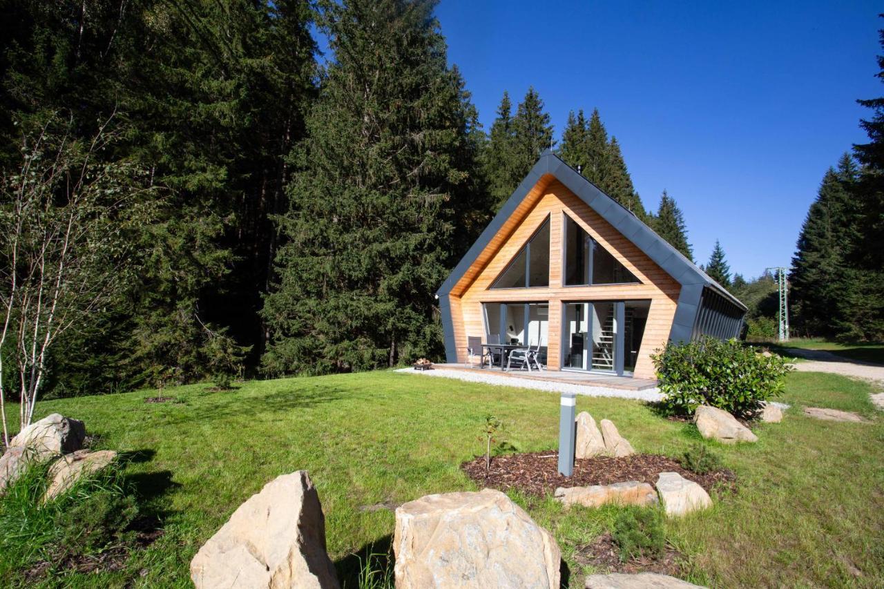 Chalet Belveder Zelezna Ruda Martina Exterior photo